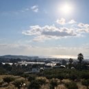 대은농장 이미지