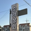 민박상회 | 태안 몽산포 맛조개 버터구이 맛집 소라상회 방문 포장 솔직 후기