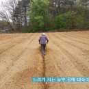 UP농장 티스토리