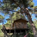 숲의하루 이미지