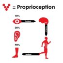 겟바디핏 이미지