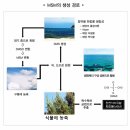 msm (Methyl Sulfonyl Methane) 식이 유황 요법 이란? 이미지