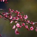 조*일 - 안양시 동안구 평촌대로396번길 | 조*일