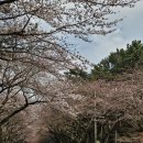 서호동-29 이미지