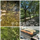청강야채과일 | 원주 캠핑장 여름 계곡 캠핑 애견동반 캠핑장 원주느린숲캠프