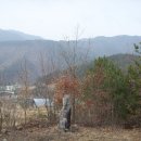 하죽 이미지