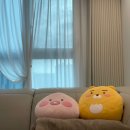 총각커튼블라인드안산 | 안산커튼으로 완벽한 인테리어! 총각커튼 블라인드 안산점 후기✨
