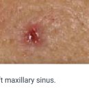 대구성서초등학교 이미지