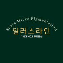 일러스라인 이미지