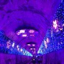 삼척안뜰캠핑장 이미지