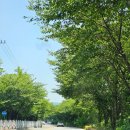 손영환비빔칼국수 | 손영환비빔국수칼국수 부산 스포원 맛집 내돈내산 후기