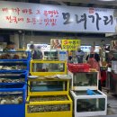 모녀가리비 이미지