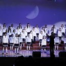 화이트러브