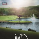 대보그린