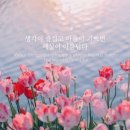 행복세상 이미지