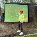 계족산황톳길 | 선양소주 조웅래 회장님과 함께한 계족산황톳길 트레일러닝 후기