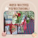 챠밍애견 이미지