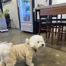 토마토수산시장 이미지