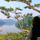 청남대 무장애나눔길조성 네이버블로그