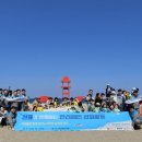 33 이미지