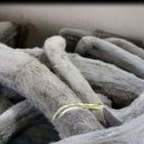 원용농장 이미지