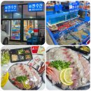 죽변회센타18호하나네 | [강릉 찐수산] 주문진 회포장 | 찐수산대게횟집 홈마카세 모듬회 후기