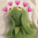 신월골프존 이미지