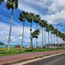 씨유제주금능길점 | 제주 금능해수욕장 캠핑 야영장 후기! 첫백패킹! (주차장,샤워실 구비)