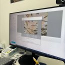 용민로 | 의정부 민락동 두피관리 &#39;숲칼프&#39;, 두피케어, 두피스케일링 후기