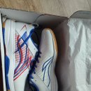 탁구화보다 튼튼한 리닝 배드민턴화 이미지