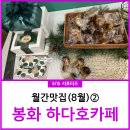 하다호