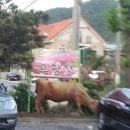 나인 스포렉스 이미지