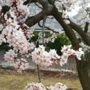 섬진강출렁다리펜션 이미지