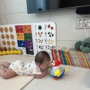 엄마랑 유리드믹스 11-17개월 | 내돈내산 사랑해보비 전집 후기 📚｜17개월부터 22개월까지 실제 사용