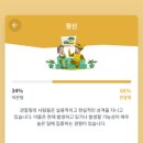 미미언니 이미지