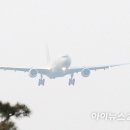현치