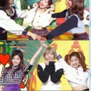 노크 CLC 이미지