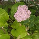 상마을1길 이미지