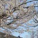 팔공산식당 이미지