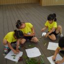 운천초교 병설유치원 이미지