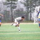 제일FC Daum카페