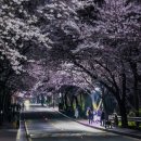 세븐일레븐 평택은혜로점 이미지