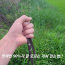 나드리독 이미지