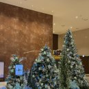 스테이덕산 | 덕산 스플라스 리솜 스테이타워 S30 콘도형, 조식 후기