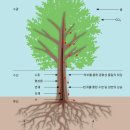 고로쇠농산물