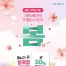 에나레코드