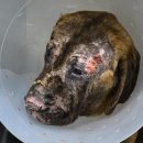 대범농장 이미지