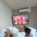 어반브라운행담 이미지