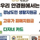 진안경 네이버블로그