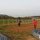 땅끝농장 이미지